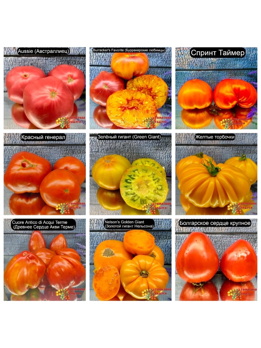 Китайские семена томатов с описанием и фото