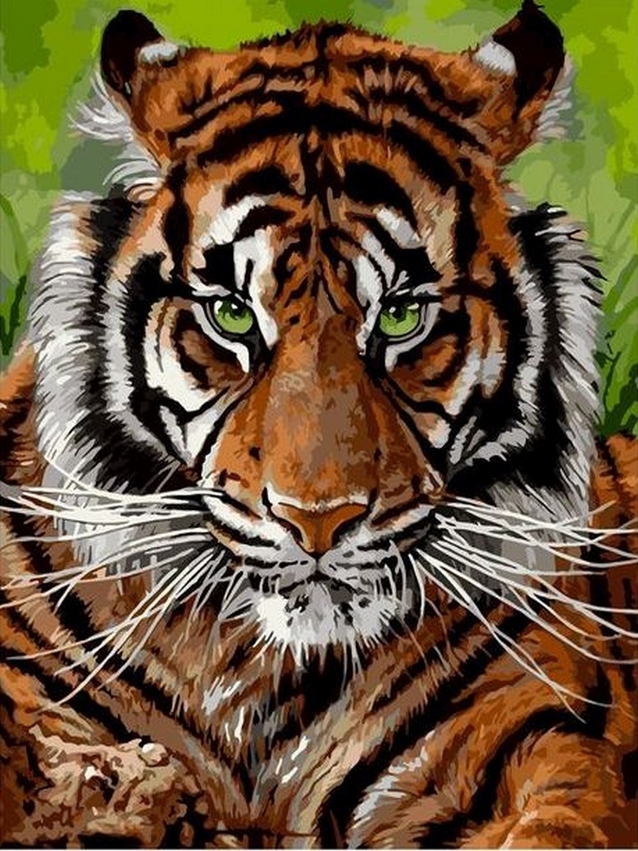 Алмазная мозаика тигр на подрамнике 40х50