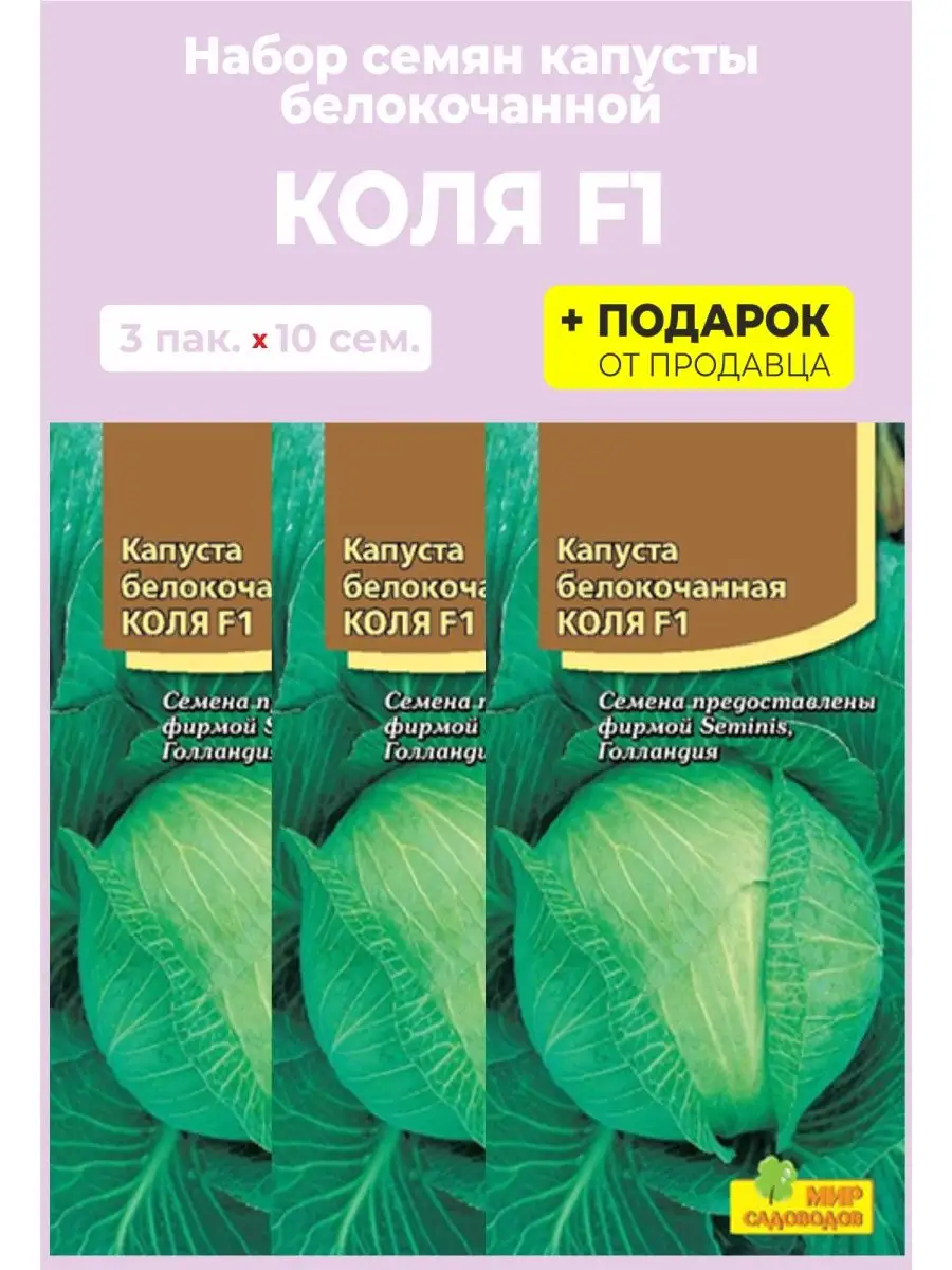 Семена Капусты Новатор Купить