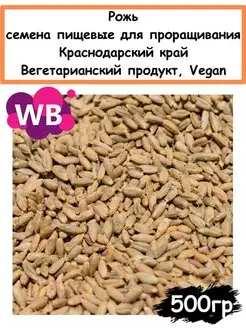 Рожь, семена пищевые для проращивания, 500 гр