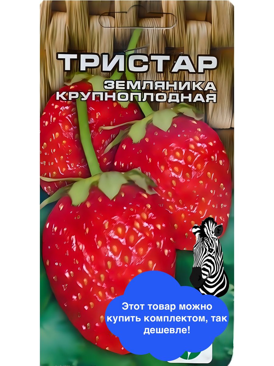 Клубника тристар описание сорта фото