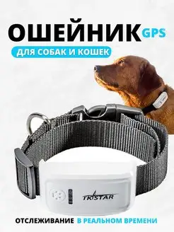 GPS ошейник для животных TK909