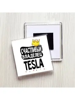 счастливый владелец - tesla