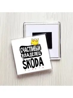 счастливый владелец - skoda