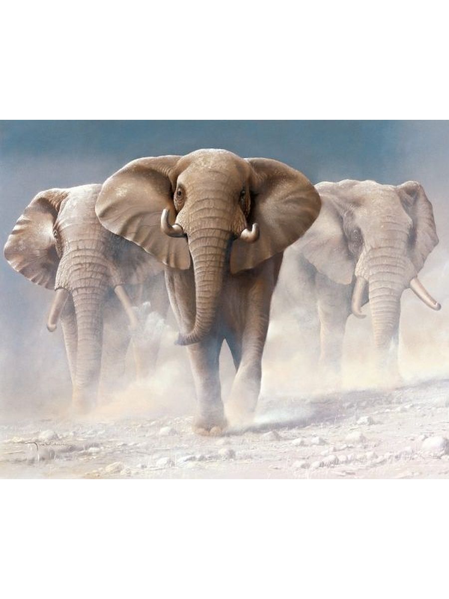 Скорость слона