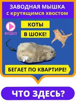 Интерактивная игрушка для кошек заводная мышка мышь