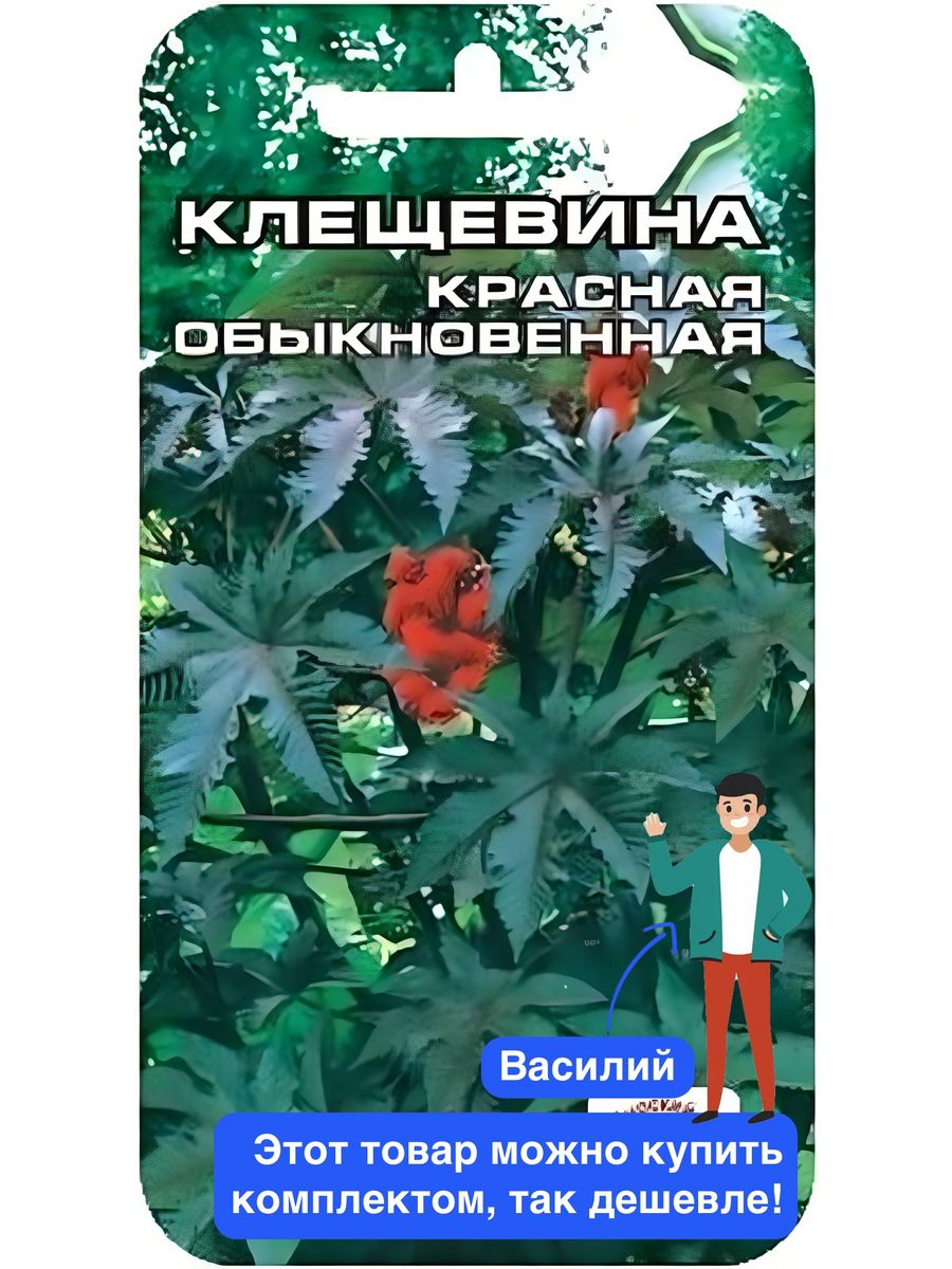 клещевина фото и описание