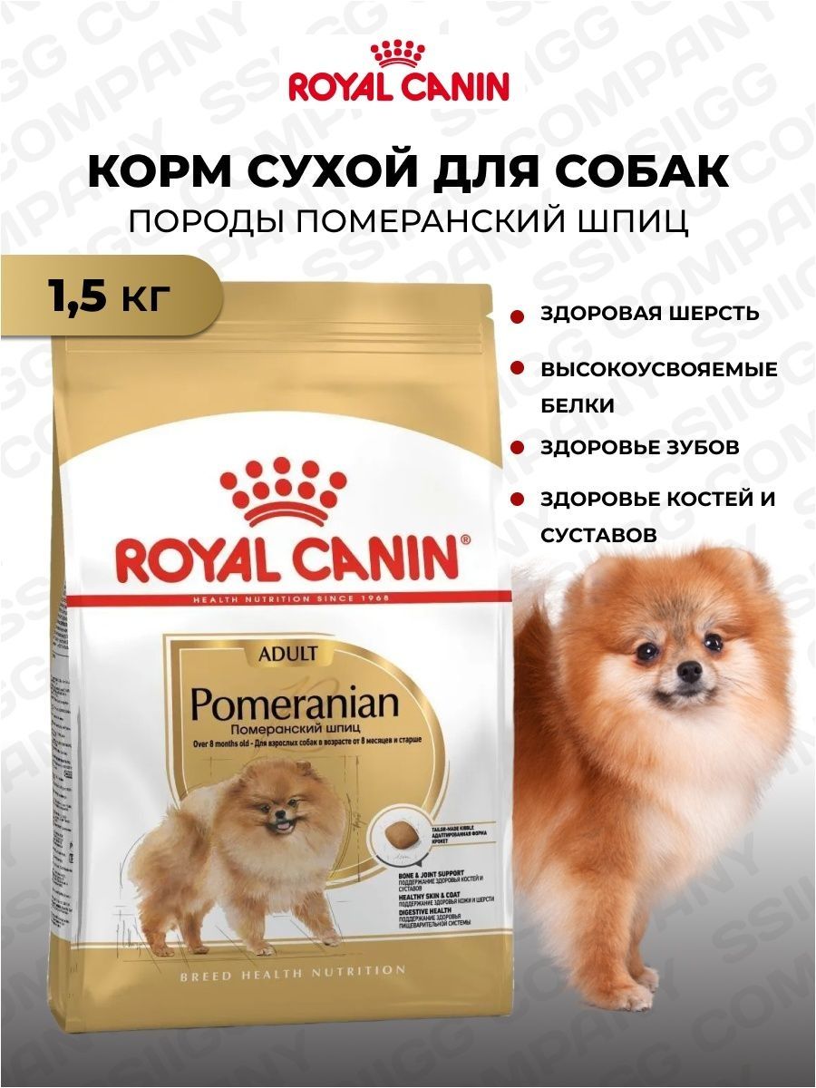 Сухие корма для собак шпиц. Royal Canin для шпицев. Корм для собак Роял Канин для шпица. Роял Канин померанский шпиц. Роял Канин для собак мелких пород шпиц.