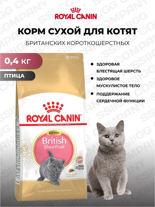 Роял для британцев. Royal Canin Британская короткошерстная 400. Роял Канин для британцев сухой. Роял Канин для британских котят. Роял Канин Бритиш шерсть.