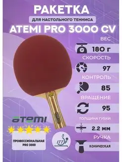 Ракетка для настольного тенниса PRO 3000 CV