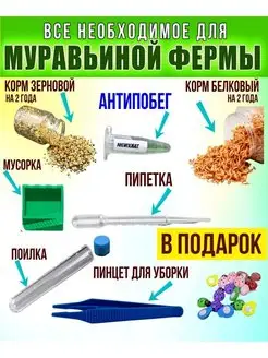 Аксессуары+корм для муравьиной фермы