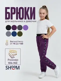 Брюки утепленные софтшелл